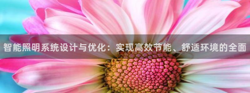 智能照明系统设计与优化：实现高效节能、舒