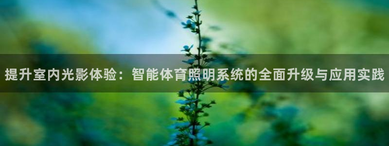 提升室内光影体验：智能体育照明系统的全面
