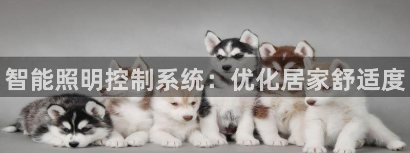 智能照明控制系统：优化居家舒适度