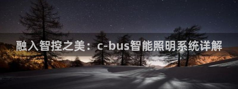 融入智控之美：c-bus智能照明系统详解