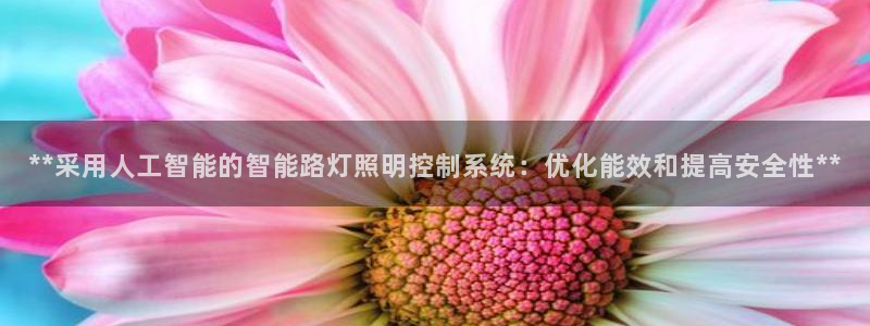 **采用人工智能的智能路灯照明控制系统:优化能效和提高安全性**