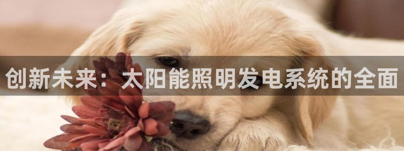 创新未来:太阳能照明发电系统的全面