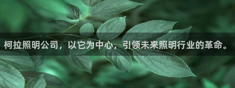 柯拉照明公司,以它为中心,引领未来照明行业的革命。