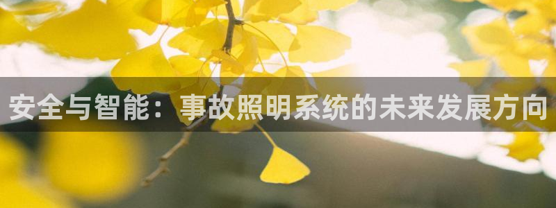 安全与智能:事故照明系统的未来发展方向