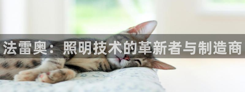 法雷奥：照明技术的革新者与制造商