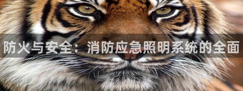 防火与安全：消防应急照明系统的全面