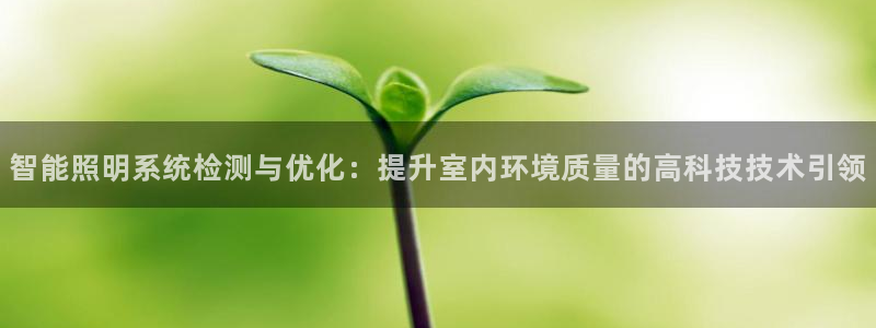 智能照明系统检测与优化：提升室内环境质量的高科技技术引领