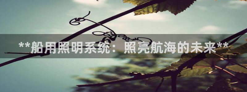 **船用照明系统：照亮航海的未来**