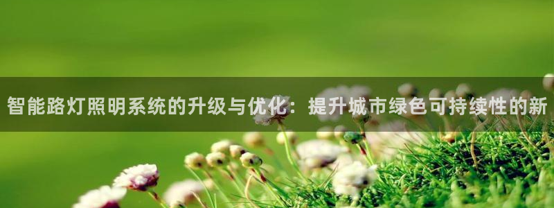 智能路灯照明系统的升级与优化：提升城市绿