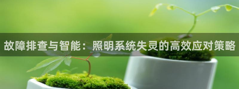 故障排查与智能：照明系统失灵的高效应对策略