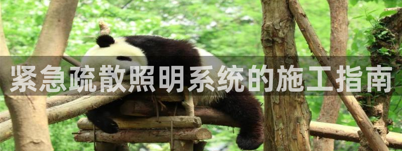 紧急疏散照明系统的施工指南