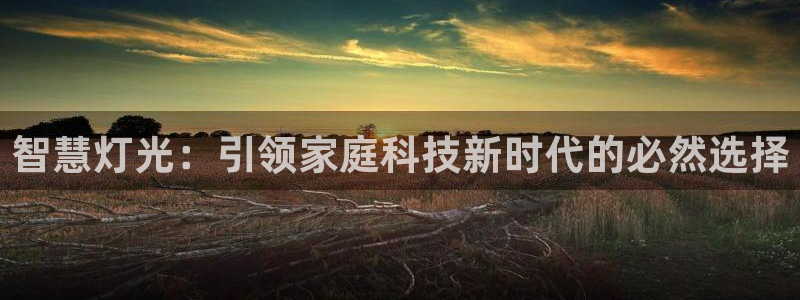 智慧灯光：引领家庭科技新时代的必然选择