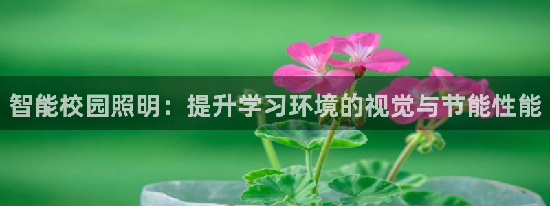 智能校园照明：提升学习环境的视觉与节能性能