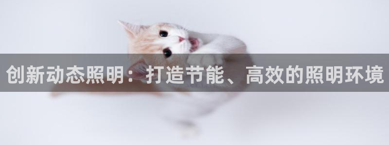 创新动态照明：打造节能、高效的照明环境