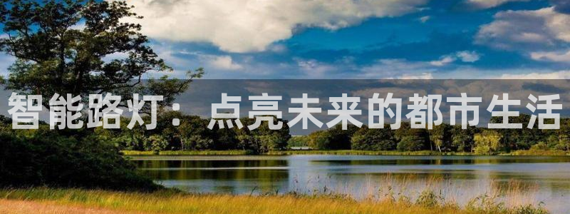 智能路灯：点亮未来的都市生活