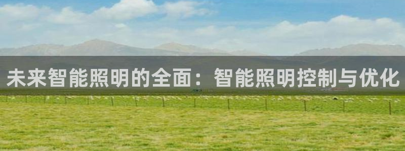 未来智能照明的全面：智能照明控制与优化