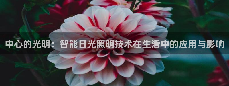 中心的光明：智能日光照明技术在生活中的应用与影响