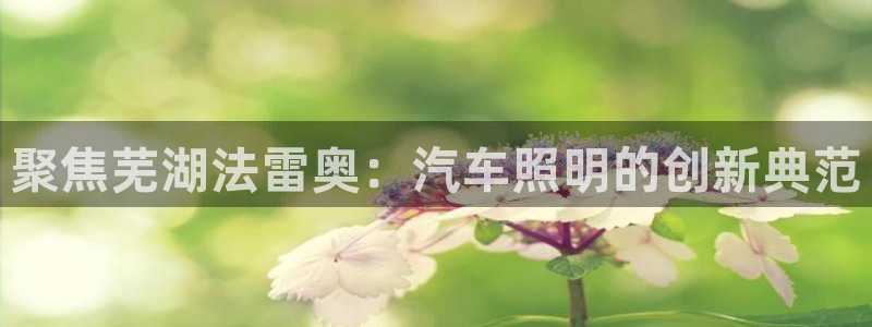 聚焦芜湖法雷奥：汽车照明的创新典范