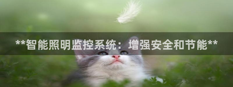 **智能照明监控系统：增强安全和节能**