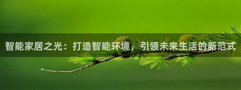 智能家居之光：打造智能环境，引领未来生活
