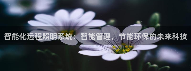 智能化远程照明系统：智能管理，节能环保的未来科技