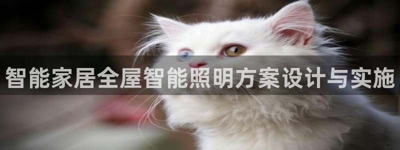 智能家居全屋智能照明方案设计与实施