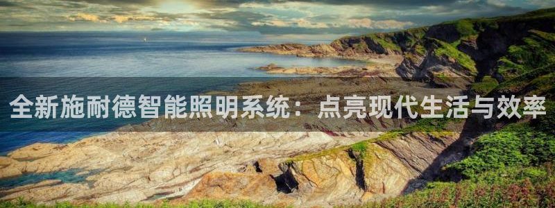 全新施耐德智能照明系统：点亮现代生活与效率