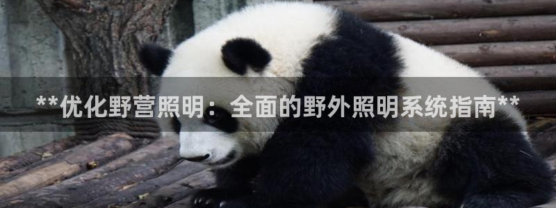 **优化野营照明：全面的野外照明系统指南**