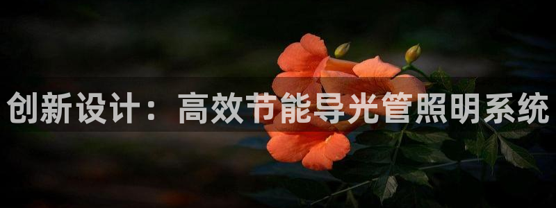 创新设计：高效节能导光管照明系统