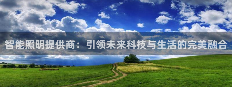 智能照明提供商：引领未来科技与生活的完美融合