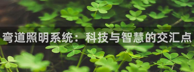 弯道照明系统：科技与智慧的交汇点