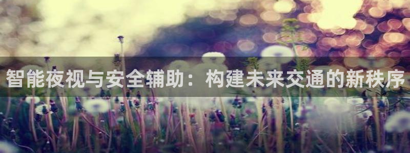 智能夜视与安全辅助：构建未来交通的新秩序