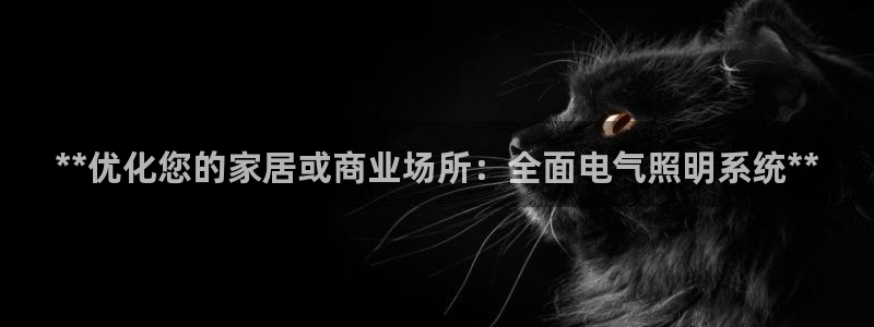 **优化您的家居或商业场所：全面电气照明系统**