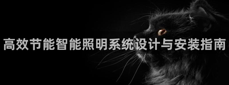 高效节能智能照明系统设计与安装指南