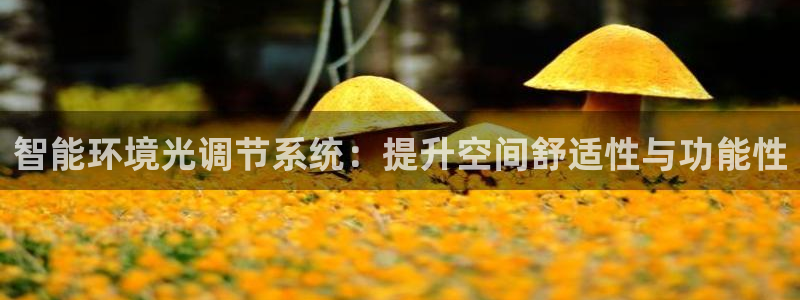 智能环境光调节系统：提升空间舒适性与功能性
