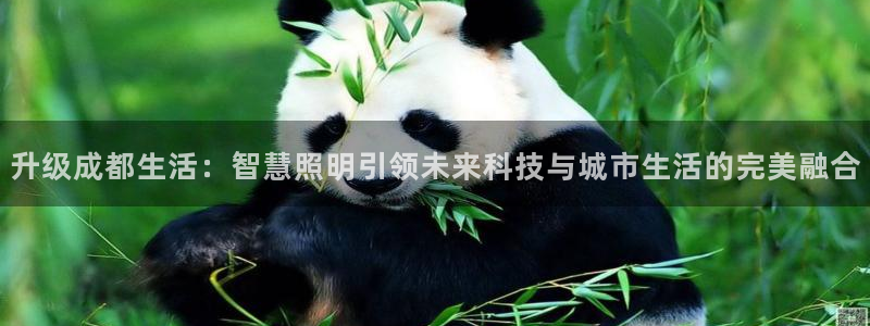 升级成都生活：智慧照明引领未来科技与城市生活的完美融合