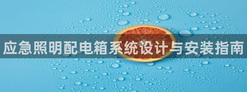 应急照明配电箱系统设计与安装指南